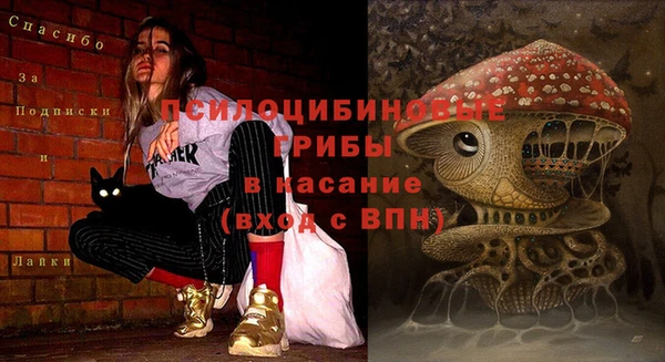 гашик Гусь-Хрустальный