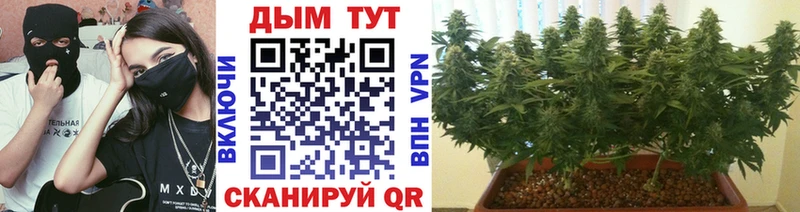 это клад  omg ссылки  Иваново  Шишки марихуана план 